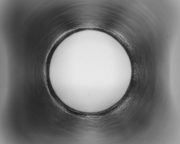 X0000095960942200802081314