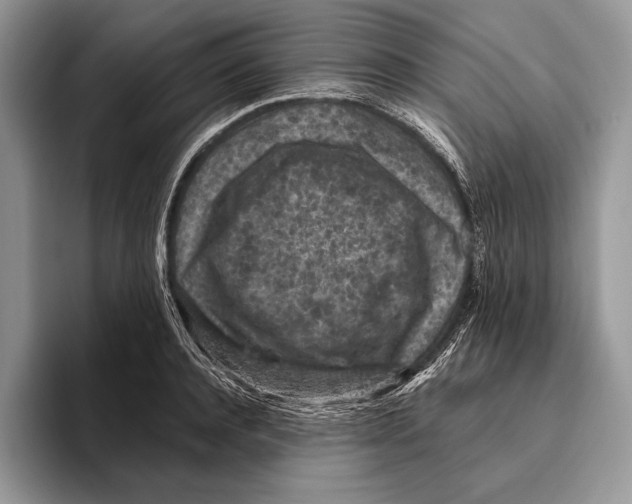 X0000095960944200802081315