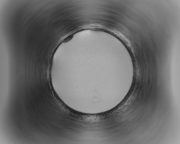 X0000095960945200802081315