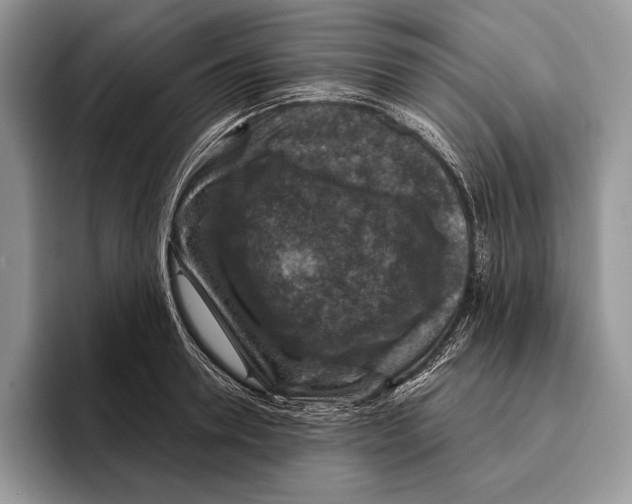 X0000095960946200802081315