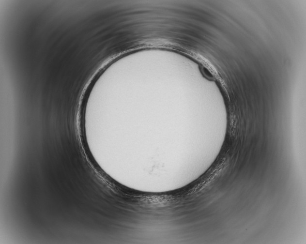 X0000095960947200802081315