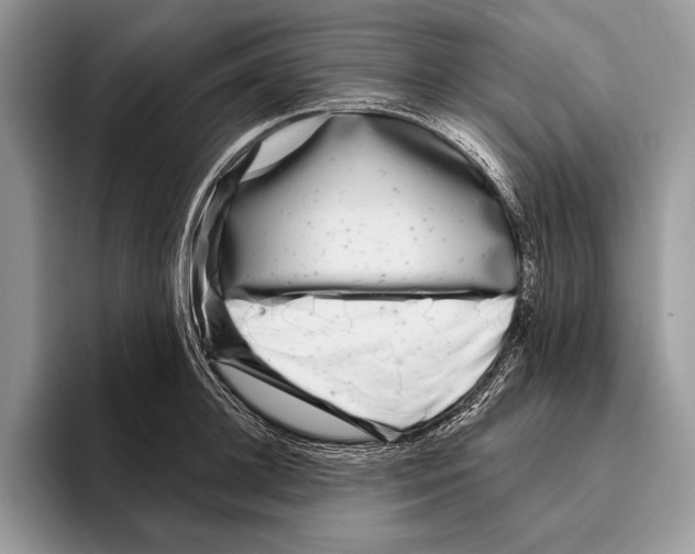 X0000095960948200802081315
