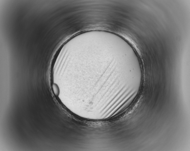 X0000095960949200802081315