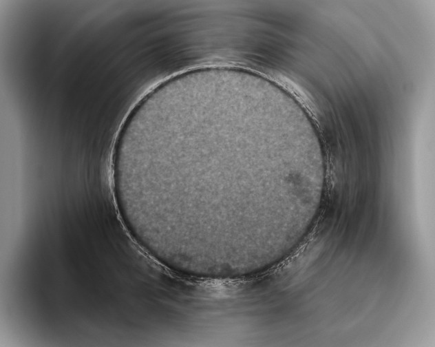 X0000095960950200802081315