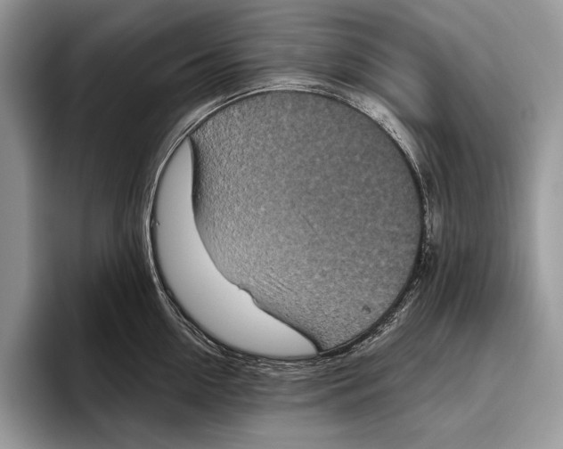 X0000095960954200802081315