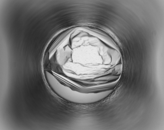 X0000095960955200802081315