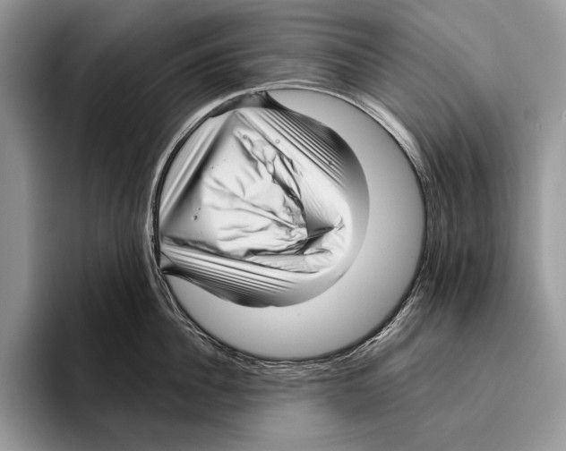 X0000095960956200802081315