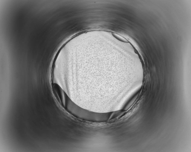 X0000095960957200802081315