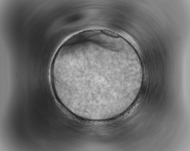X0000095960958200802081315