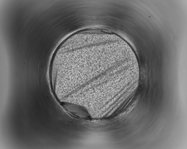 X0000095960959200802081315