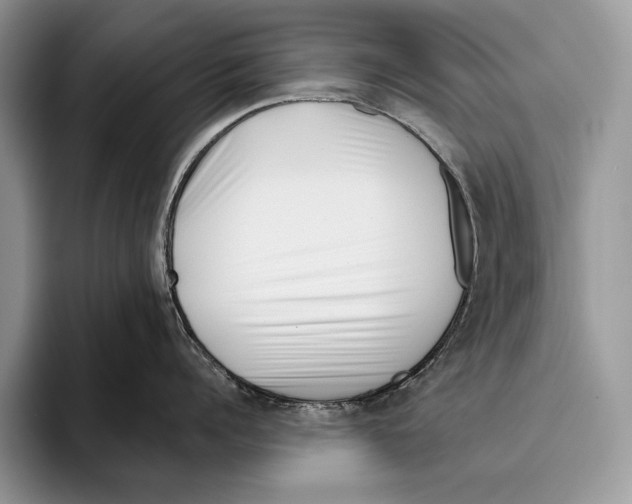 X0000095960960200802081315