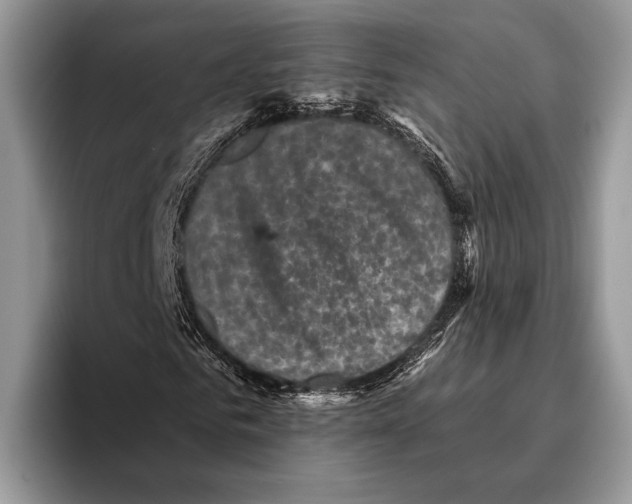 X0000095960961200802081314