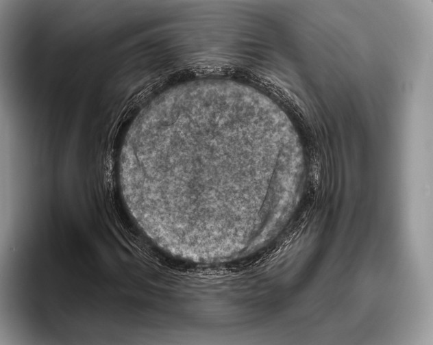 X0000095960964200802081314