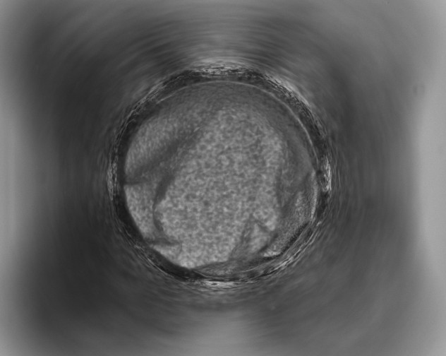 X0000095960965200802081314