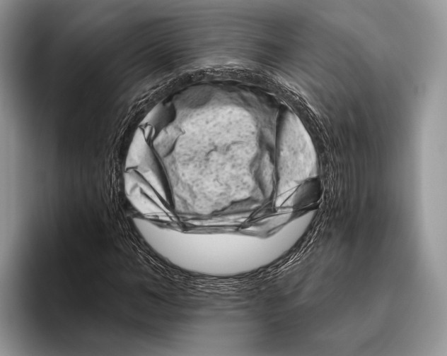 X0000095960966200802081314