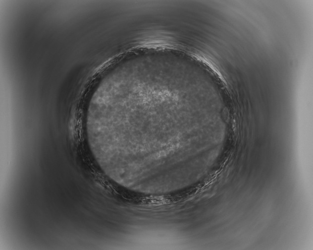 X0000095960968200802081314