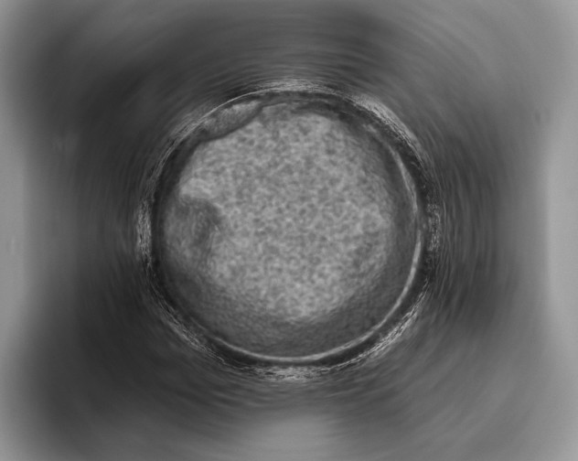 X0000095960969200802081314