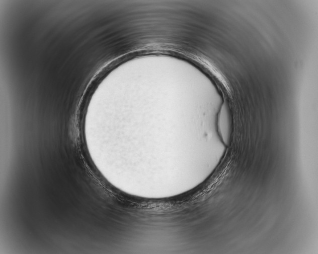 X0000095960972200802081314