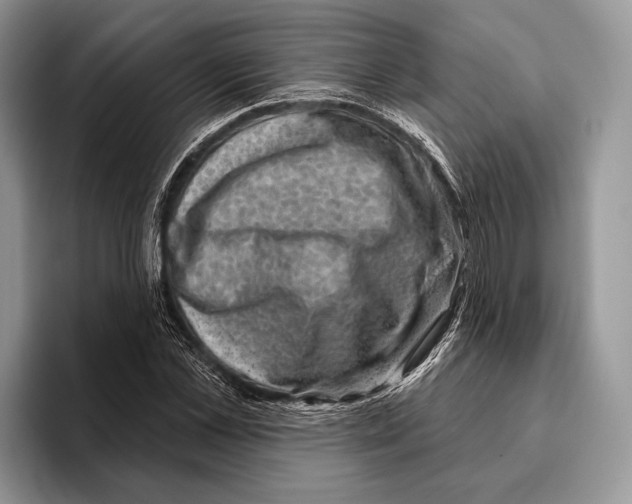 X0000095960973200802081314