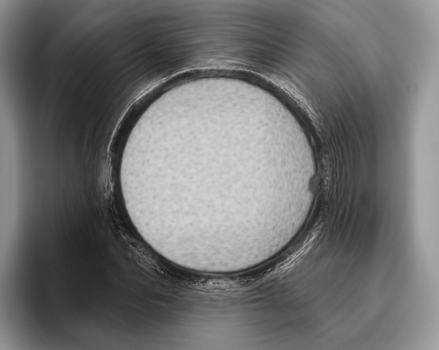 X0000095960974200802081314