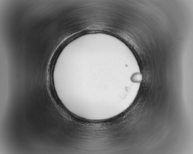 X0000095960976200802081314