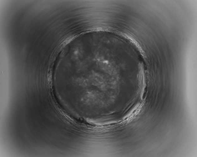 X0000095960977200802081314