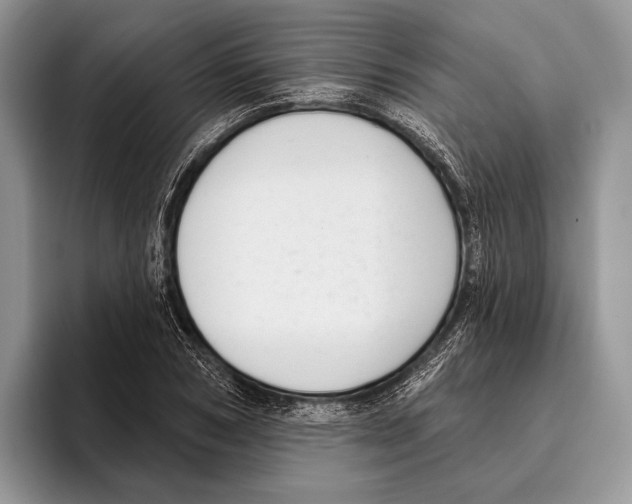 X0000095960978200802081314