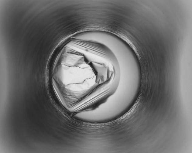 X0000095960981200802081314