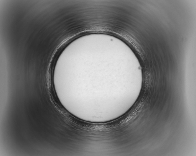 X0000095960982200802081314