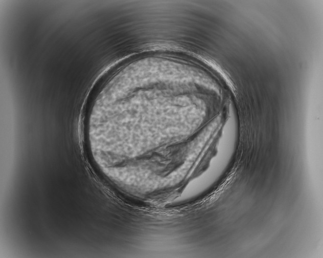 X0000095960983200802081314