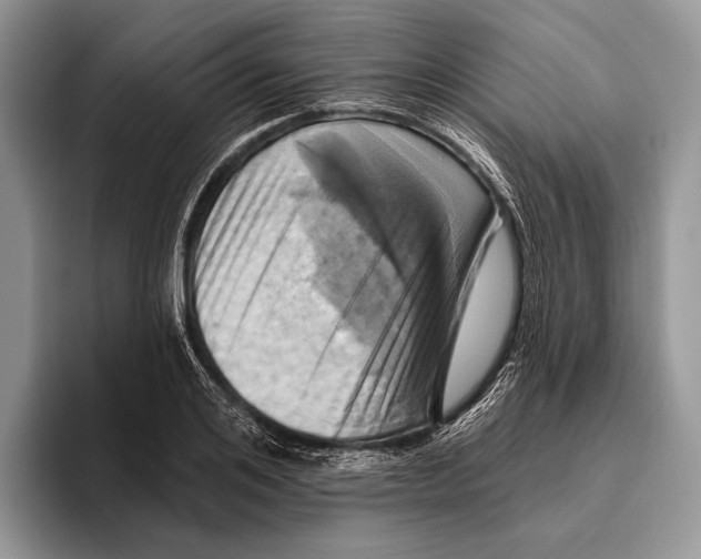 X0000095960984200802081314