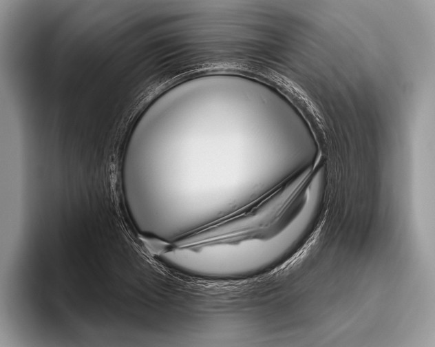 X0000095960985200802081314