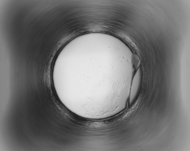 X0000095960986200802081314