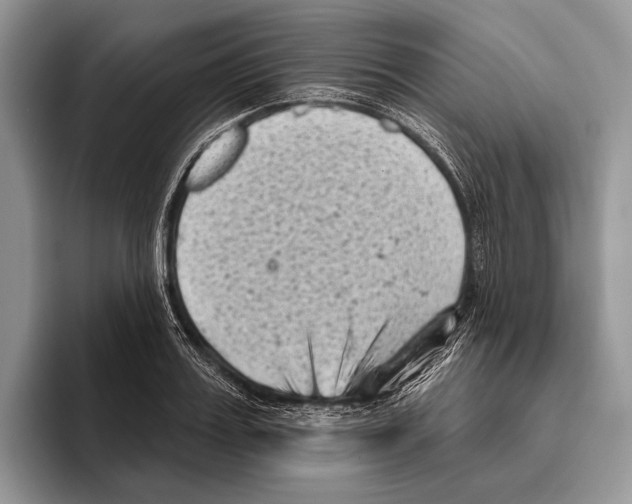 X0000095960987200802081314