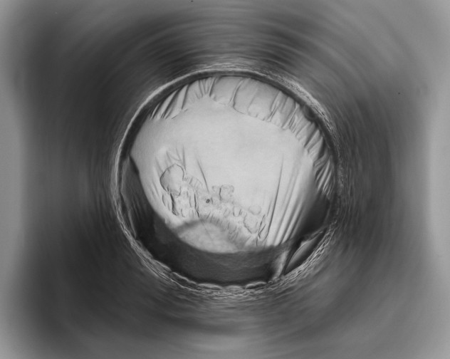 X0000095960988200802081314