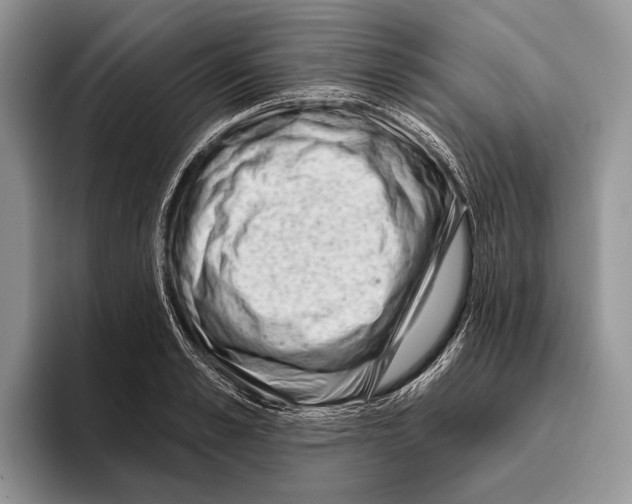 X0000095960989200802081314