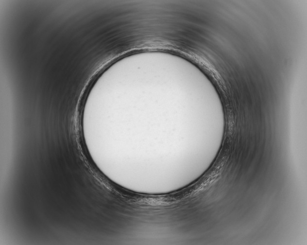 X0000095960990200802081314