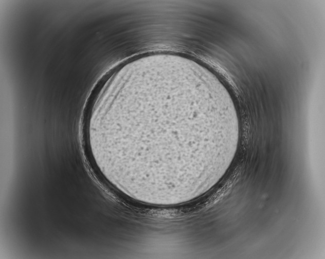 X0000095960991200802081314