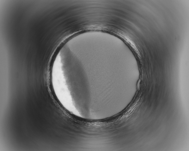 X0000095960992200802081314