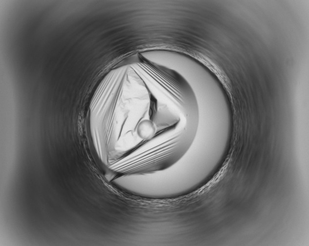 X0000095960993200802081314