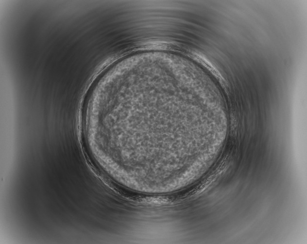 X0000095960994200802081314