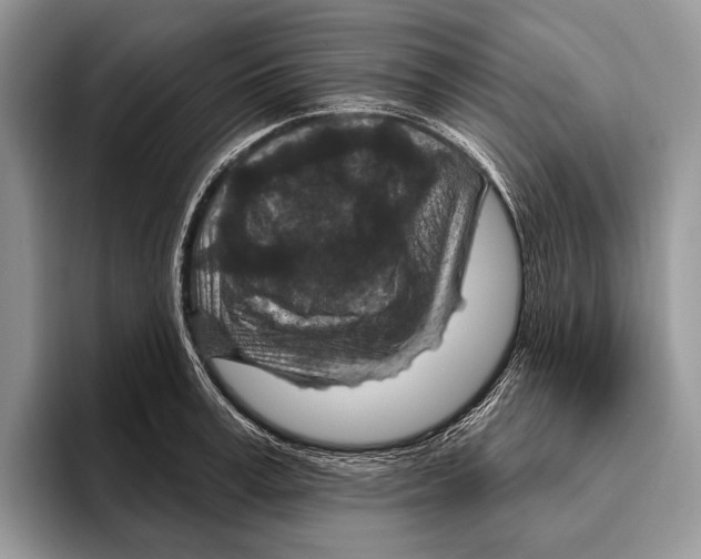 X0000095960995200802081314