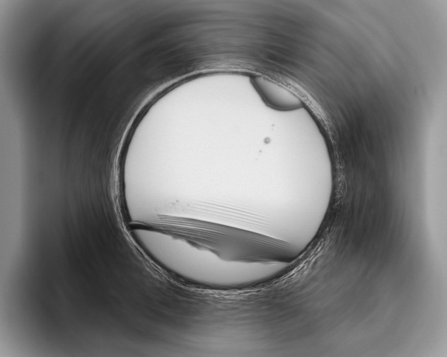 X0000095960996200802081314