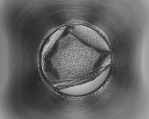 X0000095960997200802081314