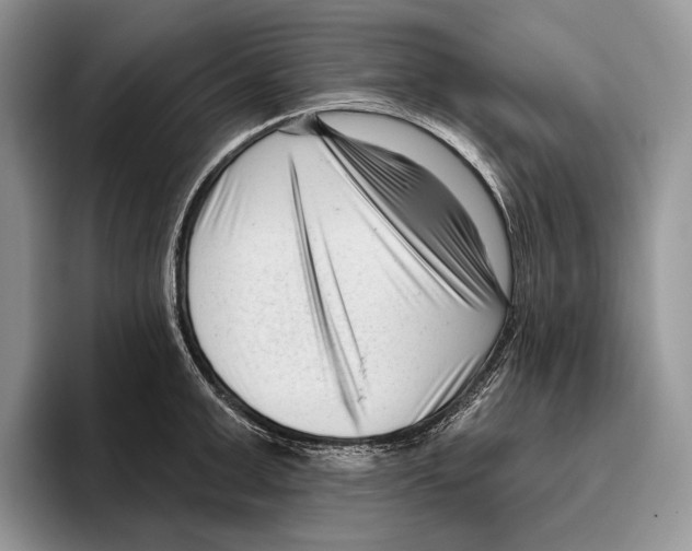 X0000095960999200802081314