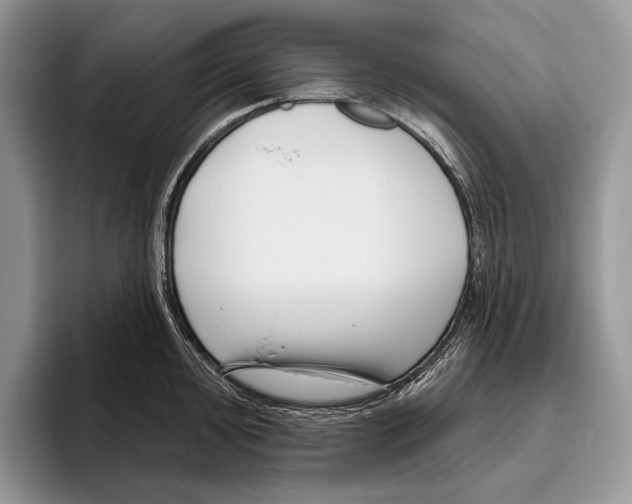 X0000095961000200802081314