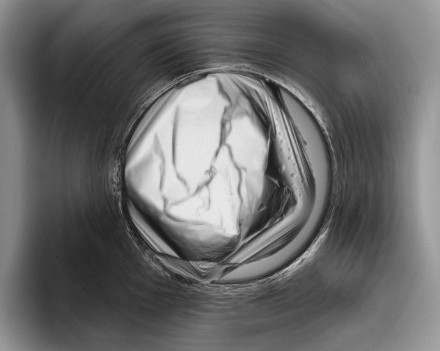 X0000095961001200802081314