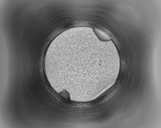 X0000095961002200802081314