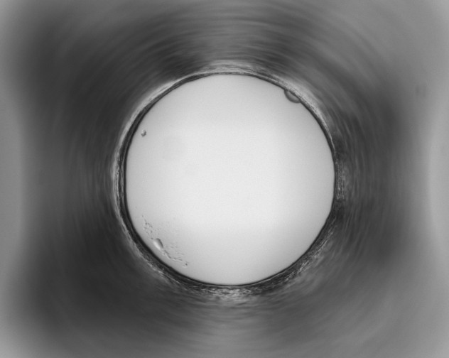 X0000095961003200802081314