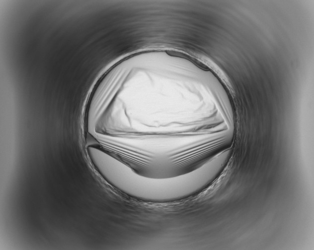 X0000095961004200802081314